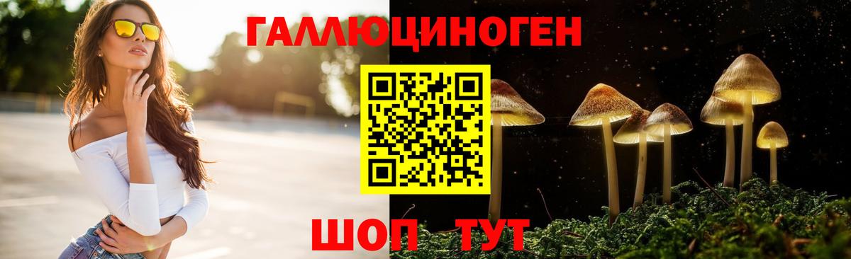 как найти   Галлюциногенные грибы прущие грибы  Вход с VPN  Галлюциногенные грибы Cubensis  Ишимбай 